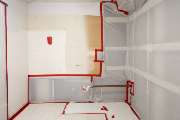 Best Mold Prevention Services  in Rankin, PA