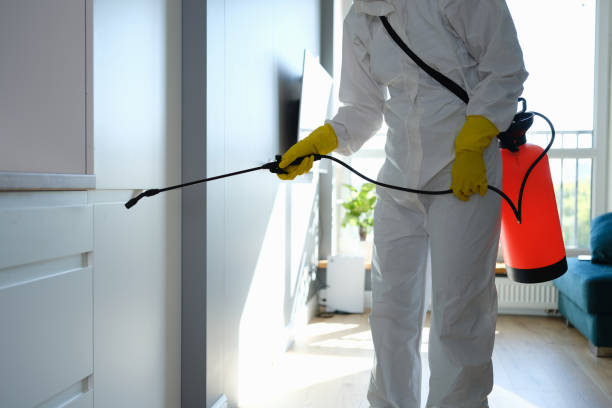 Mold Remediation for Rental Properties in Rankin, PA