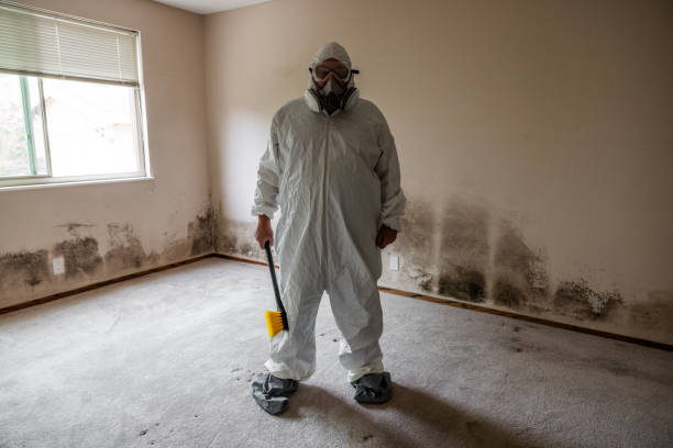 Rankin, PA Mold Inspection, Removal & Remediation Company